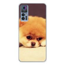 Чехол (ТПУ) Милые собачки для TCL 30 Plus – Померанский шпиц