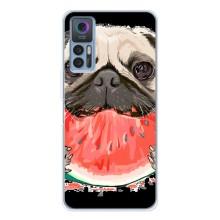 Чехол (ТПУ) Милые собачки для TCL 30 Plus – Смешной Мопс