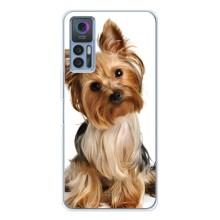 Чехол (ТПУ) Милые собачки для TCL 30 Plus – Собака Терьер