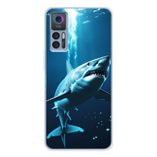 Чехол с картинкой «Хищники» для TCL 30 Plus – Акула