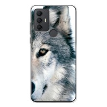 Чохли з картинкою животних TCL 30 SE (Вовк)