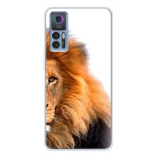Чехлы с картинками животных TCL 30 (Лев грива)