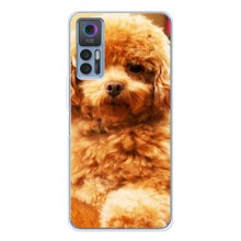 Чехлы с собаками для TCL 30 (VPrint) (Щенок Бишон)