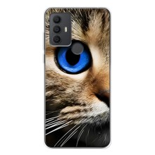 Чохли з Котиками для TCL 306 (VPrint) (Око кота)