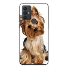 Чехол (ТПУ) Милые собачки для TCL 306 – Собака Терьер