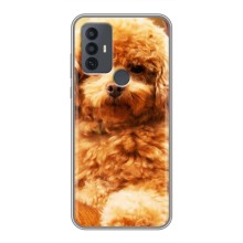 Чохли з собаками для TCL 30E (VPrint) (Цуценя Бішон)