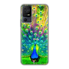 Чехол с птицами на TCL 40 SE (VPrint) (Яркий Павлин)