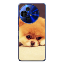 Чехол (ТПУ) Милые собачки для TCL 50 Pro NxtPaper (Померанский шпиц)
