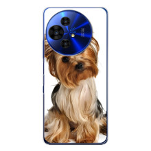 Чехол (ТПУ) Милые собачки для TCL 50 Pro NxtPaper (Собака Терьер)