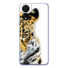 Чохли з картинкою животних TCL 505 (Леопард)