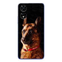 Чохли з картинкою животних TCL 505 (Овчарка)