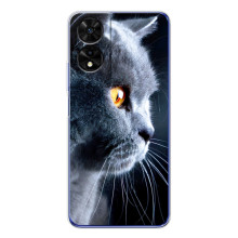 Чохли з Котиками для TCL 505 (VPrint) (Сірий Кіт)