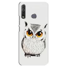 Чехол с птицами на TECNO Camon 12 Air CC6 (VPrint) (Милая Сова)