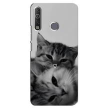 Чехол с рисунком кот на TECNO Camon 12 Air CC6 – Пара котов