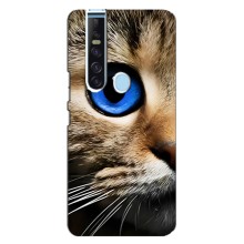 Чохли з Котиками для TECNO Camon 15 Pro (VPrint) (Око кота)