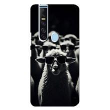 Чехол с принтом стильные животные для Техно Камон 15 Про – Овечка в очках