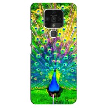 Чехол с птицами на TECNO Camon 16 (VPrint) (Яркий Павлин)