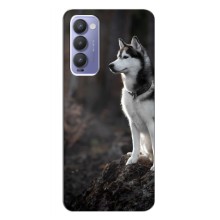 Чехол с Хаски для Tecno Camon 18 / Camon 18P - (AlphaPrint) – Верный пес