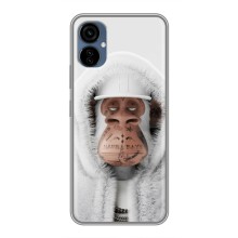 Чохли з Мавпами NFT для TECNO Camon 19 Neo (AlphaPrint) (мавпа NFT в тату)