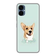 Чохли з собаками для TECNO Camon 19 Neo (VPrint) (Коргі)