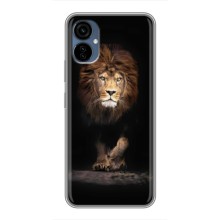Чохол з картинкою ЛЕВ для TECNO Camon 19 Neo (VPrint) (Лев)