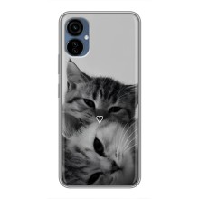 Чохол з малюнком кіт на TECNO Camon 19 Neo (Пара котів)