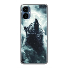 Чехол с картинкой «Хищники» для TECNO Camon 19 Neo