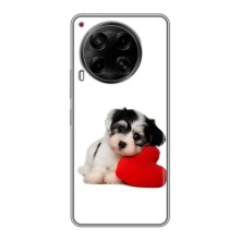 Чехлы с собаками для Tecno Camon 30 (CL6) (VPrint) (Песик)