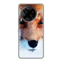 Чехол с Лисичкой для Tecno Camon 30 (CL6) – Рыжая Лисичка