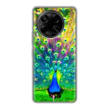 Чехол с птицами на Tecno Camon 30 (CL6) (VPrint) (Яркий Павлин)