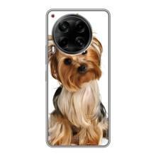 Чехол (ТПУ) Милые собачки для Tecno Camon 30 (CL6) – Собака Терьер