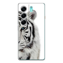 Чехлы с картинками животных TECNO Camon 40 (Белый Тигр)