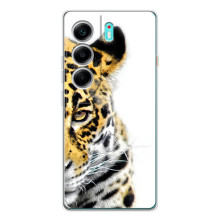 Чехлы с картинками животных TECNO Camon 40 (Леопард)