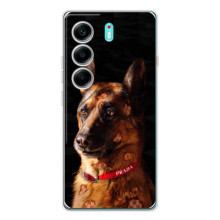 Чехлы с картинками животных TECNO Camon 40 (Овчарка)
