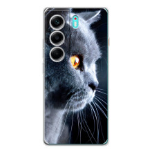 Чехлы с Котиками для TECNO Camon 40 (VPrint) – Серый Кот