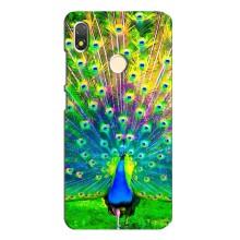 Чехол с птицами на TECNO POP 3 (VPrint) (Яркий Павлин)