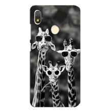 Силиконовый чехол с КАРТИНКАМИ лето для TECNO POP 3 (AlphaPrint) (Жирафы в очках)