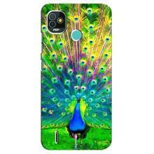 Чохол з пташками на TECNO Pop 4 LTE (VPrint) (Яскравий Павлин)