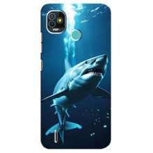 Чехол с картинкой «Хищники» для TECNO Pop 4 LTE – Акула