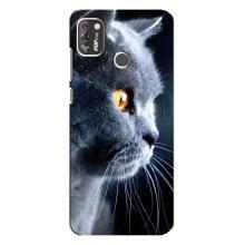 Чехлы с Котиками для TECNO POP 4 Pro (VPrint) (Серый Кот)