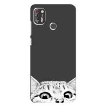 Чехол на Техно Поп 4 Про с Котами (VPrint) (Выглядывает кот)