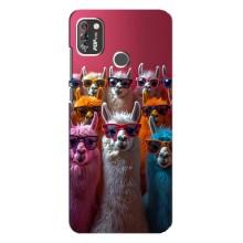 Чехол с принтом стильные животные для Техно Поп 4 Про (Ламы в очках)