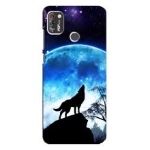 Защитные чехлы для Техно Поп 4 Про (AlphaPrint) (ХИТ продаж) ВОЛК (Волк на луну)