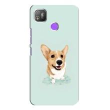 Чехлы с собаками для TECNO POP 4 (VPrint) – Корги