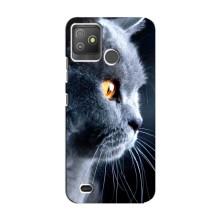 Чехлы с Котиками для Tecno Pop 5 GO (VPrint) (Серый Кот)