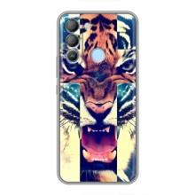 Чохли з зображенням різних тварин на TECNO Pop 5 LTE (Яскравий Тигр)