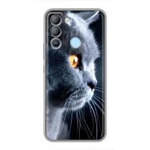 Чохли з Котиками для TECNO Pop 5 LTE (VPrint) (Сірий Кіт)