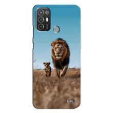 Чехол Король лев на Техно Поп 6 Про – Мусафа и Симба