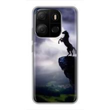 Чохли з зображенням різних тварин на Tecno Pop 7 Pro (Кінь)