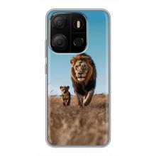 Чохол Король лев на ТЕСNO Рop 7 Рro (Мусафа і Сімба)
